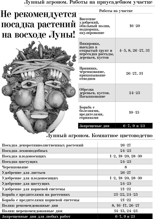 agronom3 agronom3
