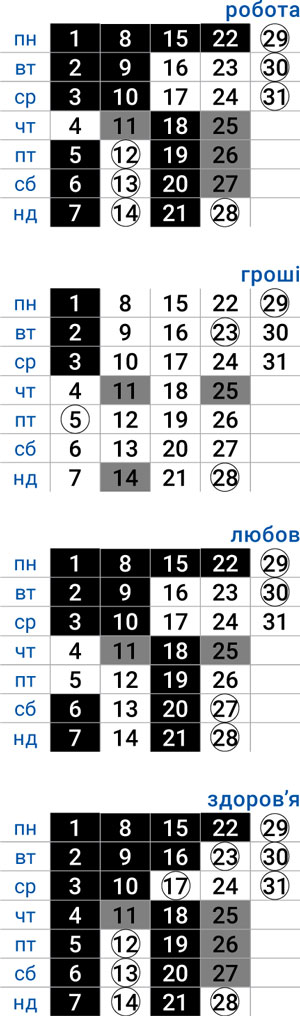 деловой водолей январь 2024