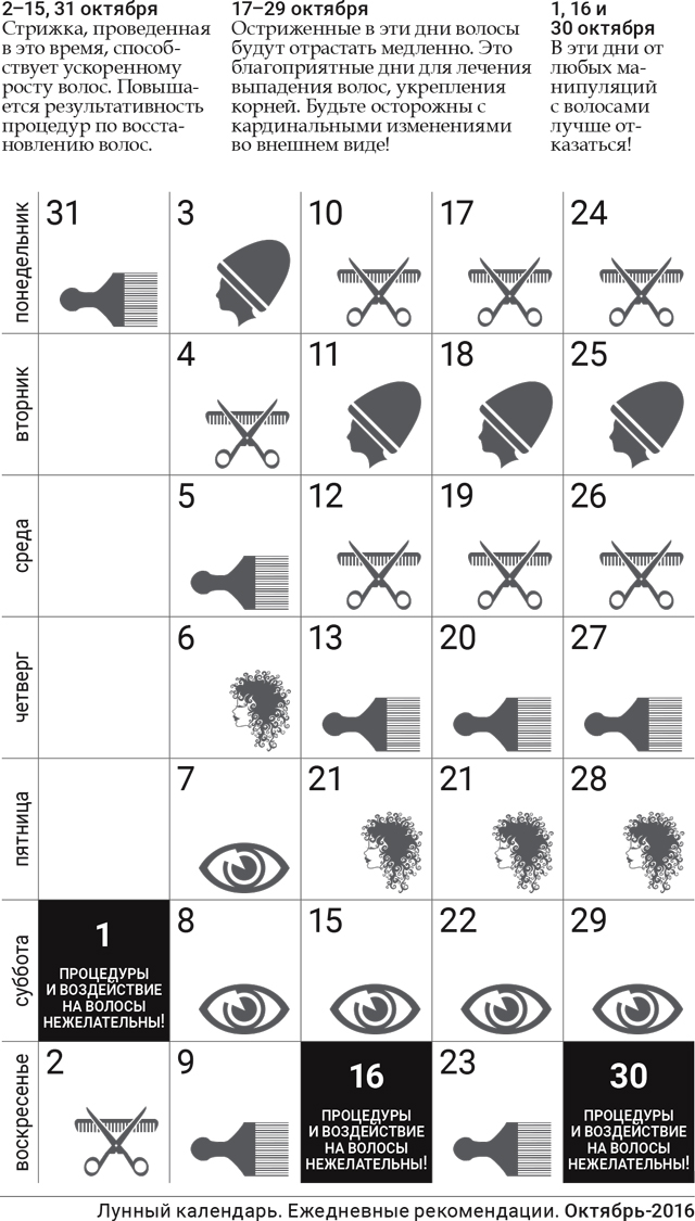 3 Октября Календарь Стрижек