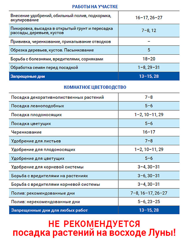 Лунный агроном январь 2021