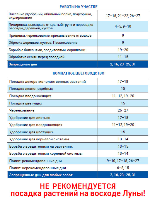 Лунный агроном октябрь 2020