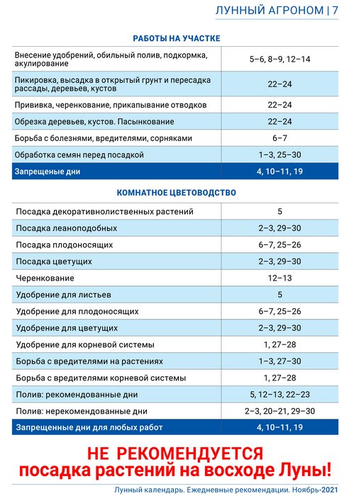 Лунный агроном ноябрь 2021