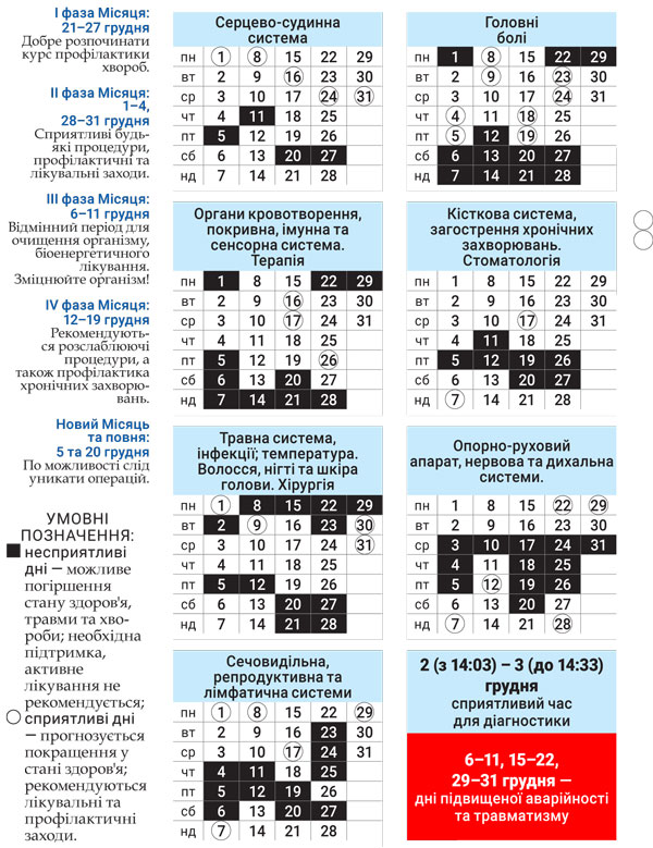 Лунный доктор декабрь 2025