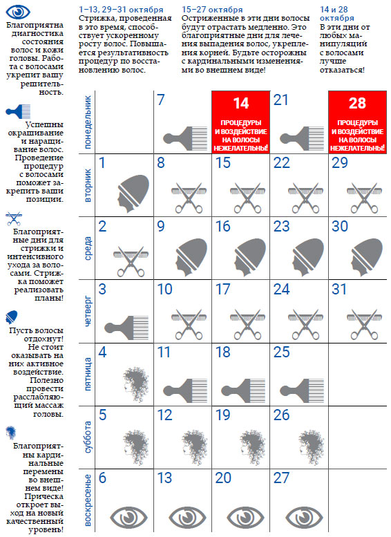 Календарь Стрижек На 17 Октября 2023